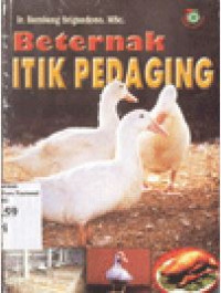 Image of Beternak itik pedaging