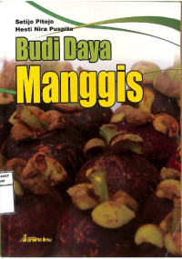 Image of Budidaya Manggis
