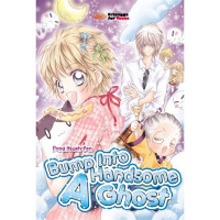 Image of Bump into a handsome ghost