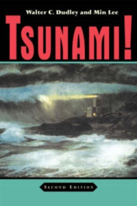 Image of Tsunami